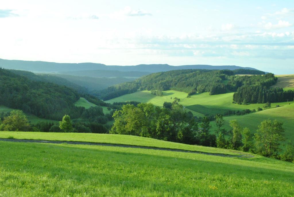 Gasthaus Kranz Lausheim Exteriér fotografie