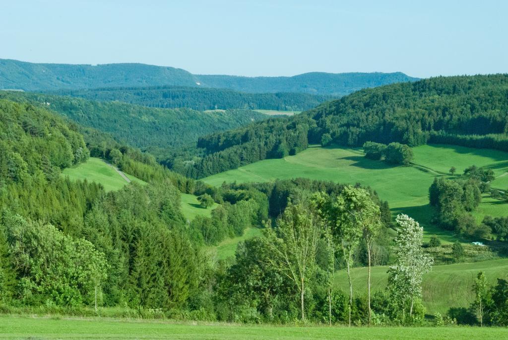 Gasthaus Kranz Lausheim Exteriér fotografie